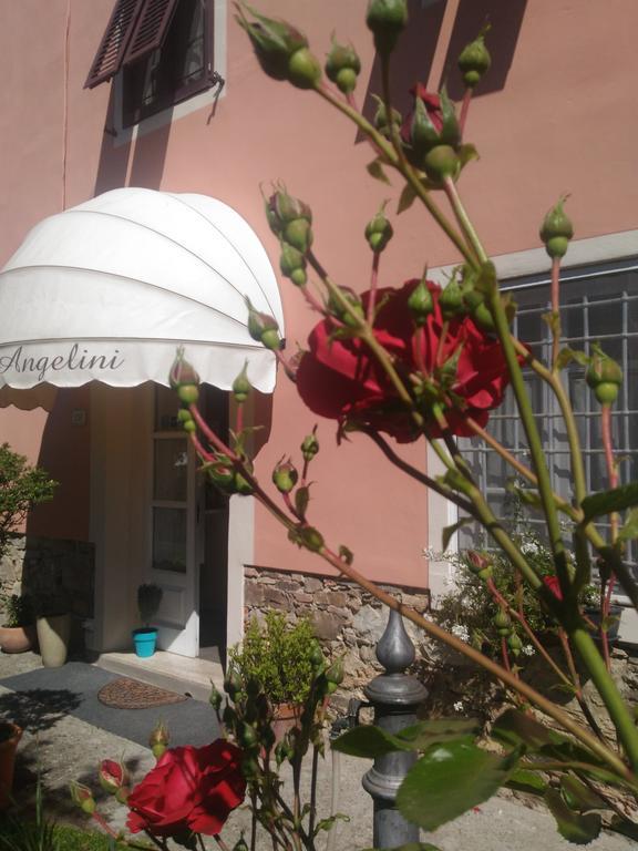 B&B Angelini Lucca Exterior foto