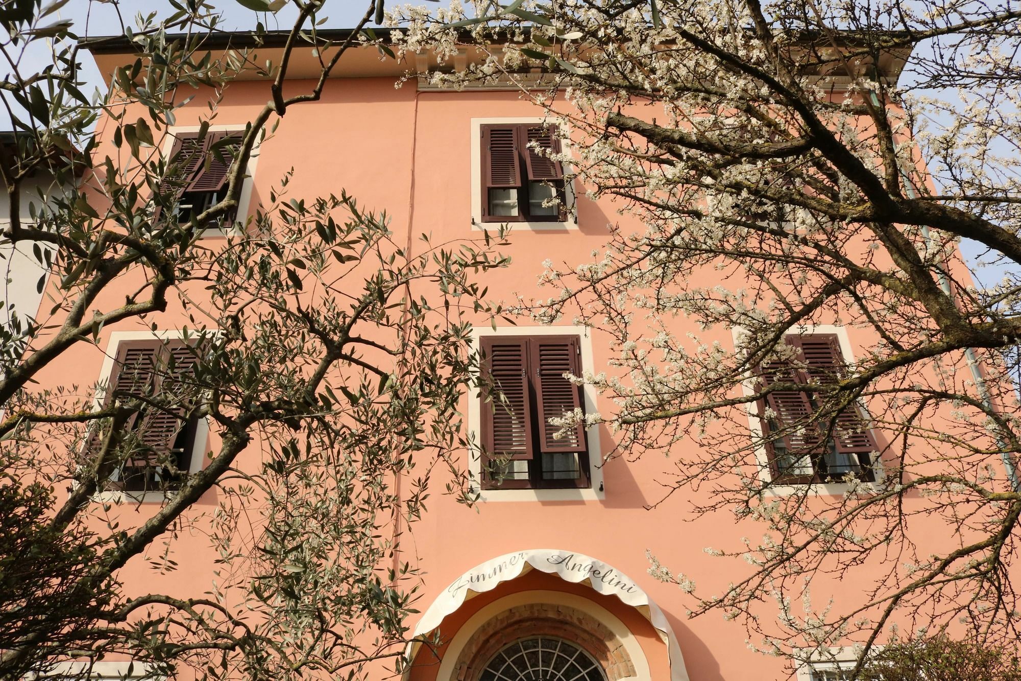 B&B Angelini Lucca Exterior foto